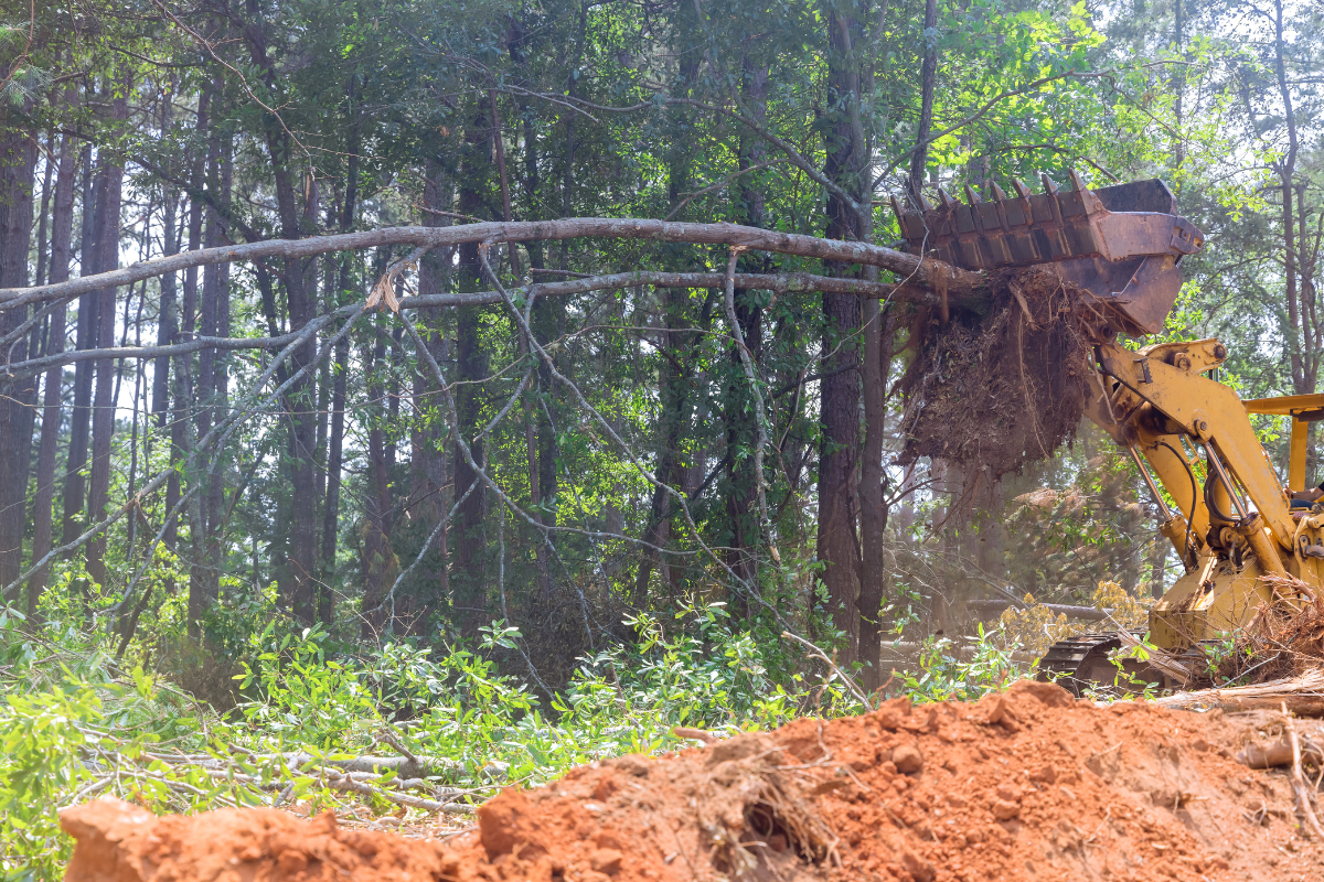 Untitled design - 2023-09-29T150809.259 - Land Clearing, Grading, Excavating Contractors Wilson EST Land Clearing GA
